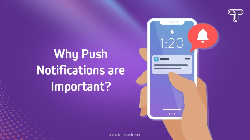 Why Push Notifications are Important?