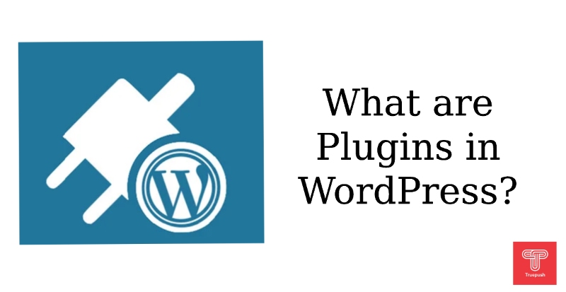 What are the Plugins in WordPress?